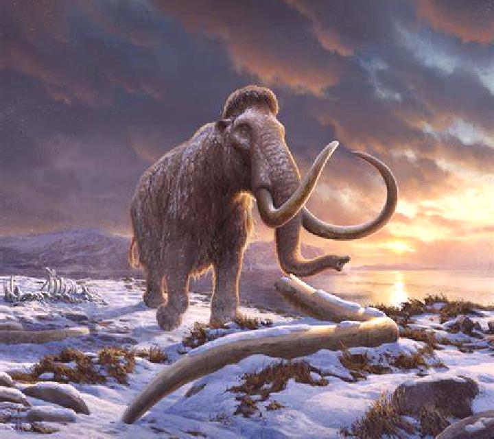 1 Reel Mammoth screenshot 3