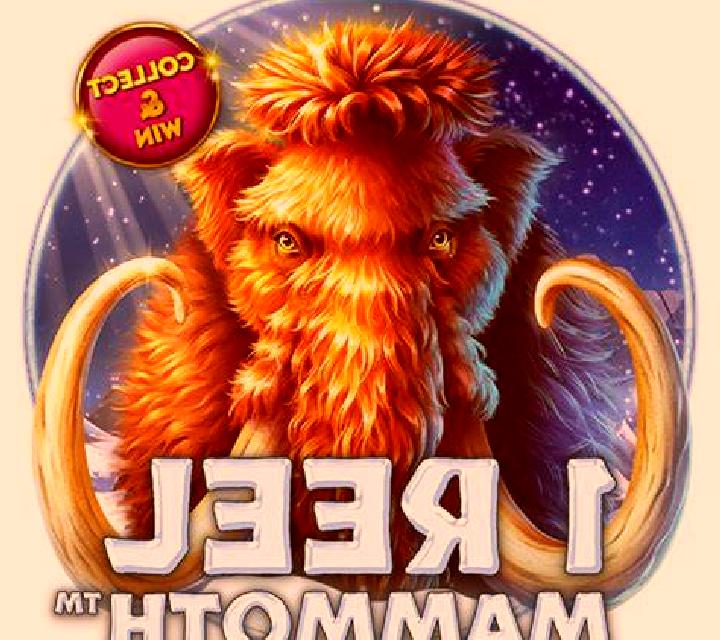 1 Reel Mammoth