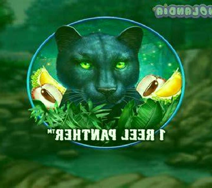 1 Reel Panther screenshot 2