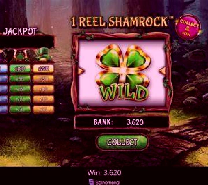 1 Reel Shamrock screenshot 2