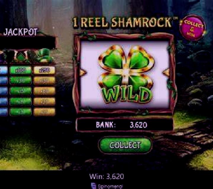1 Reel Shamrock screenshot 3