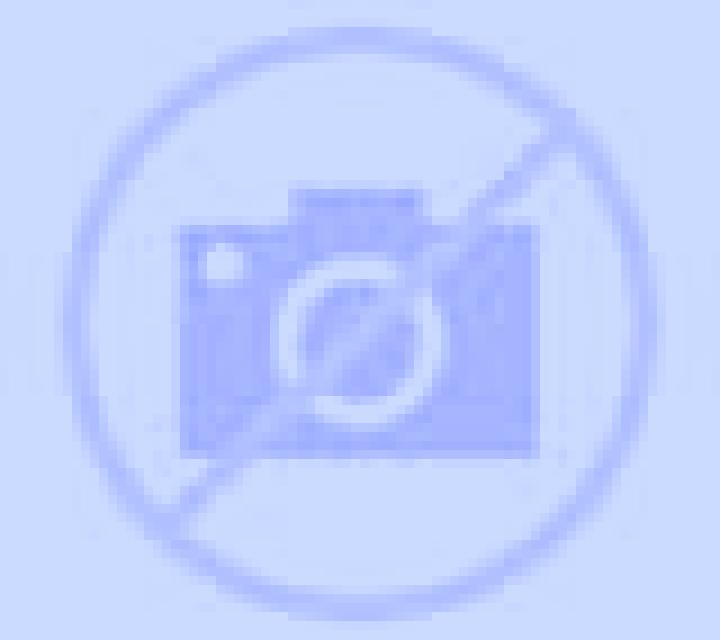 12 Coins Grand Platinum Edition screenshot 1