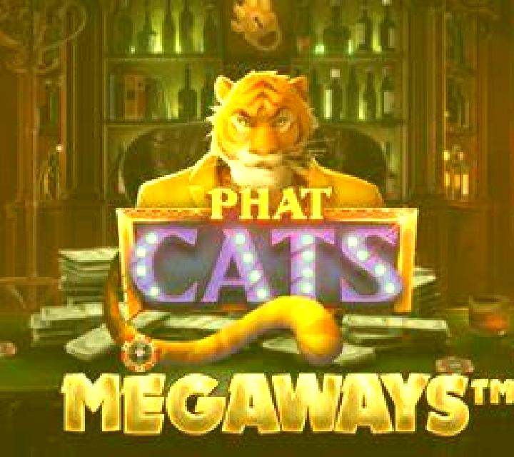 Cats Megaways: Play screenshot 3