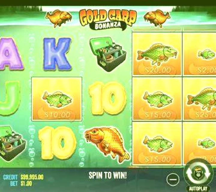 Gold Carp Bonanza