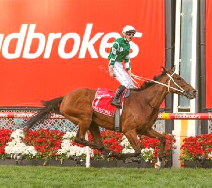 Ladbrokes Heat: 1 Reel Mammoth screenshot 3