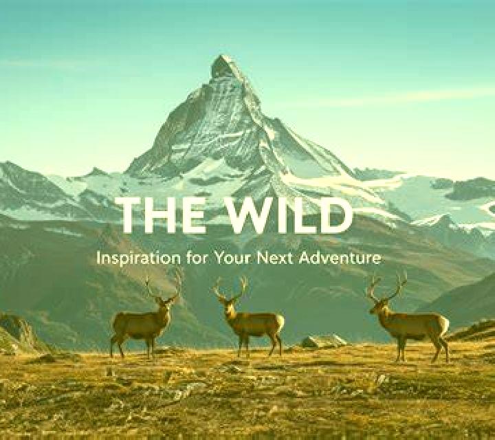 Muse: Wild Inspiration screenshot 1