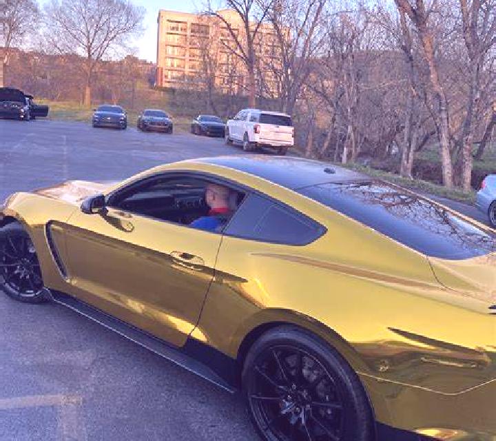 Mustang Gold screenshot 1