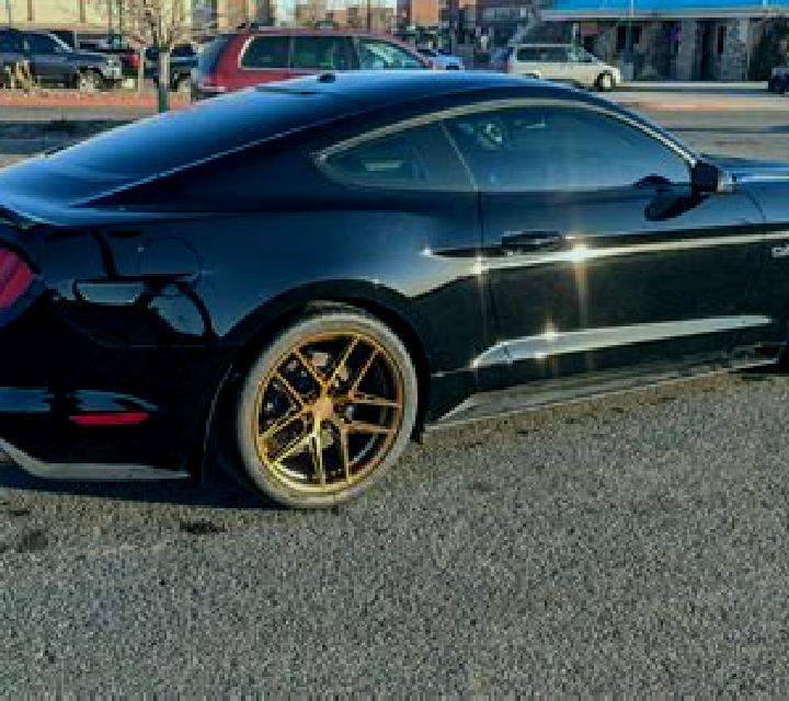 Mustang Gold screenshot 2