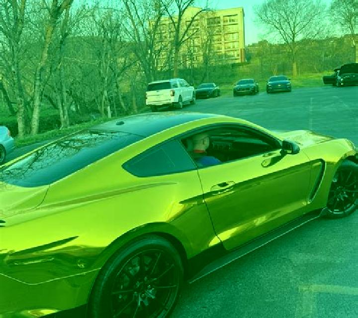 Mustang Gold screenshot 3
