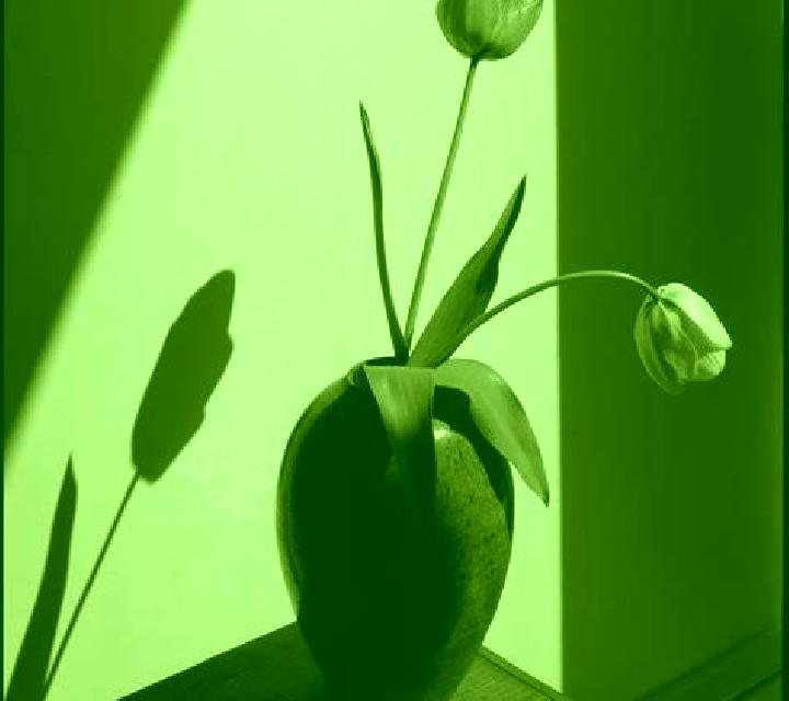 Tiger Claw screenshot 1
