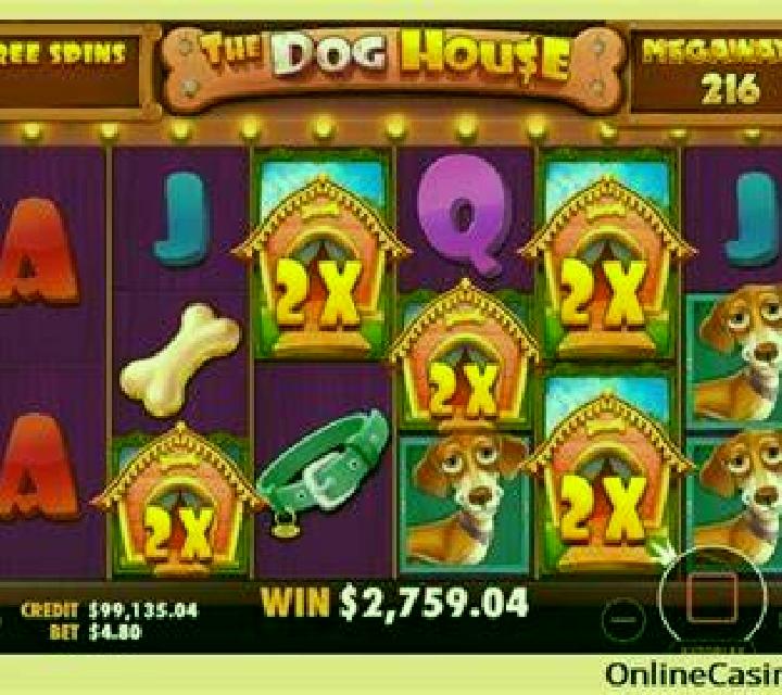Tiki Treasures Megaways: Cyber Pup Megaways screenshot 2