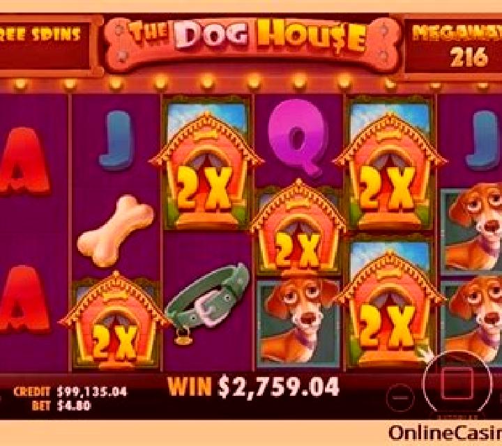 Tiki Treasures Megaways: Cyber Pup Megaways