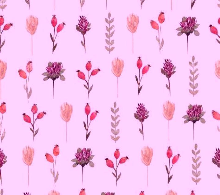 Wild Flower screenshot 1