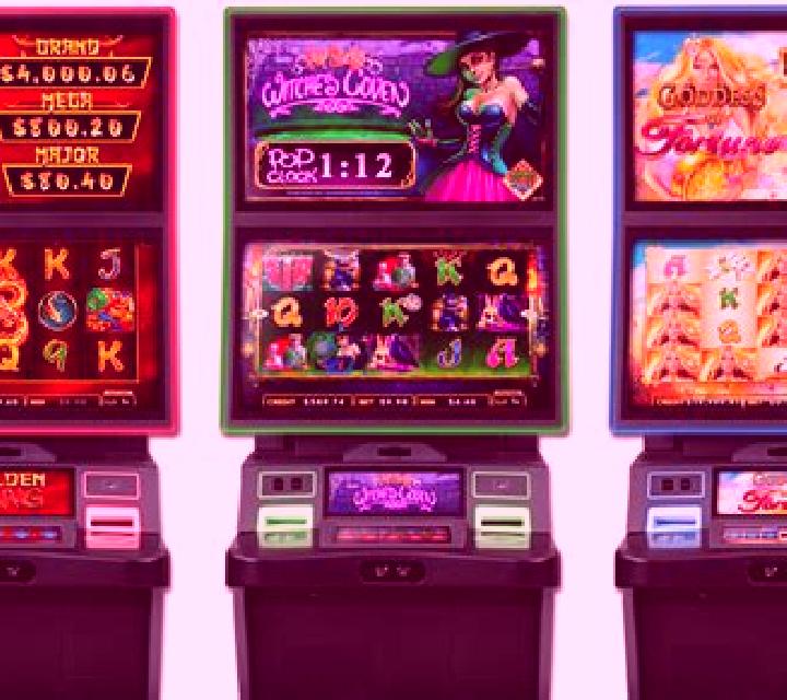 Wild Roll screenshot 3