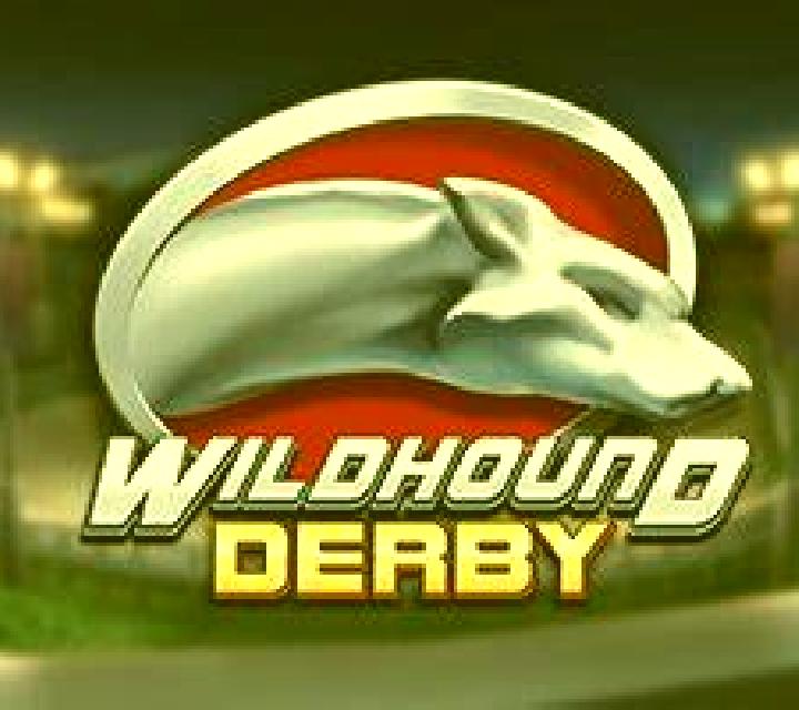 Wildhound Derby screenshot 1