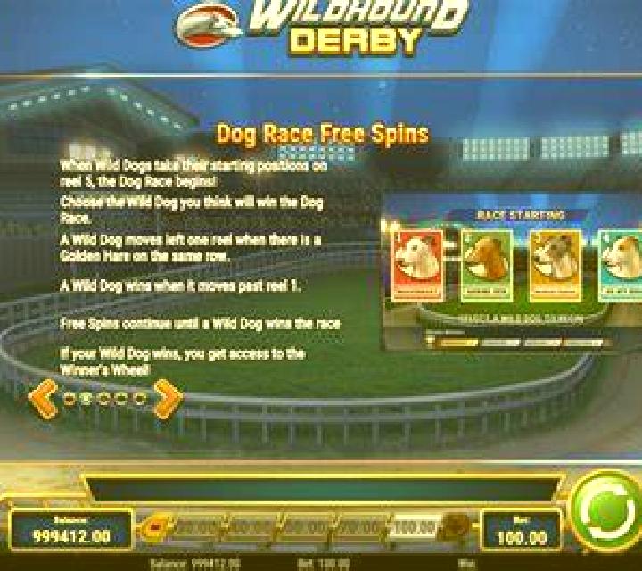 Wildhound Derby screenshot 2